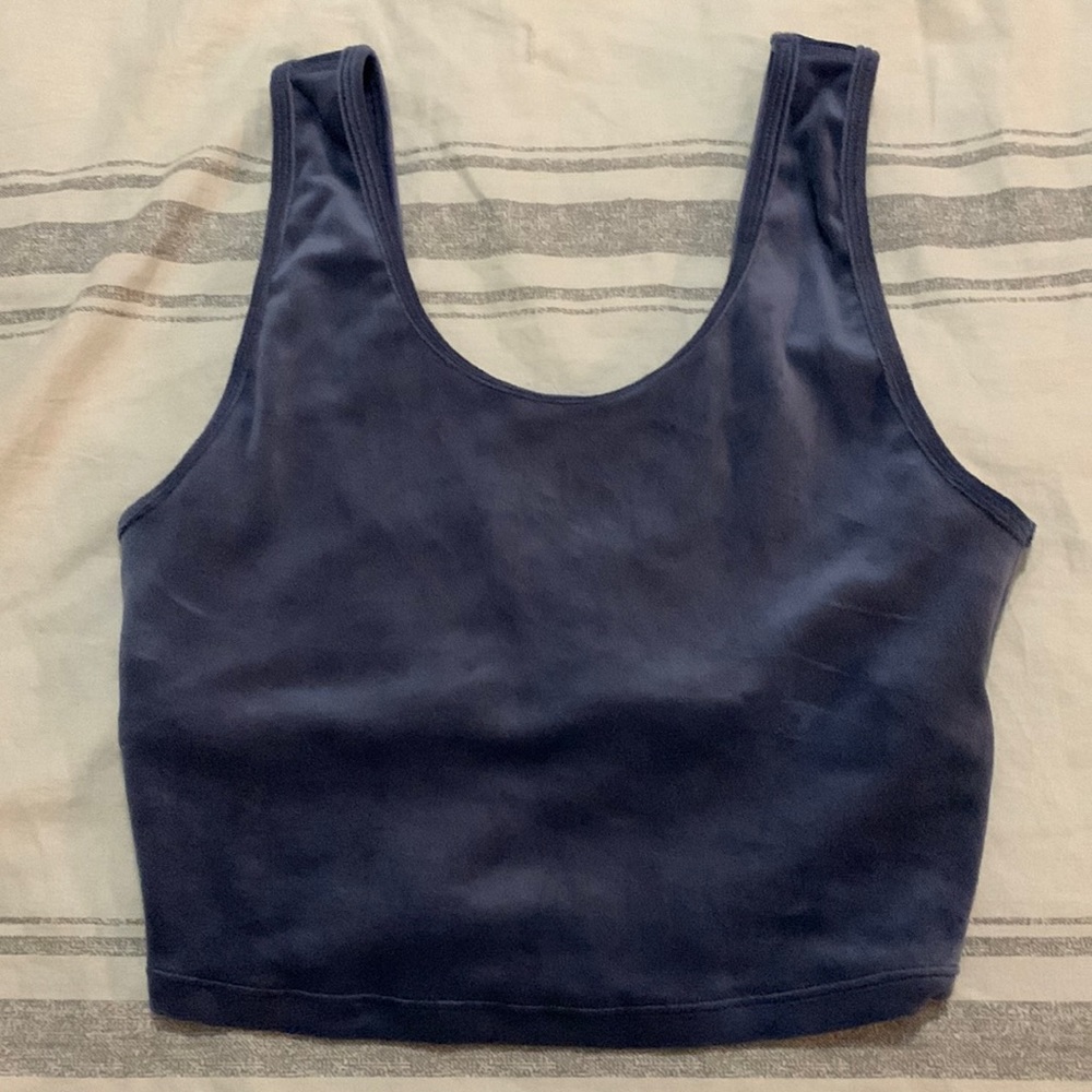 NWOT Aerie Velvet Crop Top